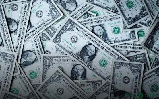 How to Calculate ROI on a Rental Property Easily