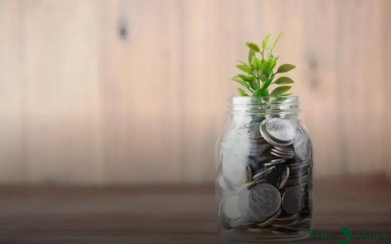 Best High-Yield Savings Accounts Right Now: Maximize Returns